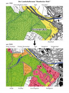 Veränderung der landschaftlichen Gleiderung und Nutzung im Rumbecker Holz.