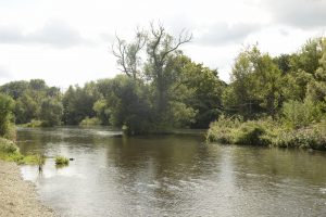 Die renaturierte Ruhr bei Arnsberg-Neheim