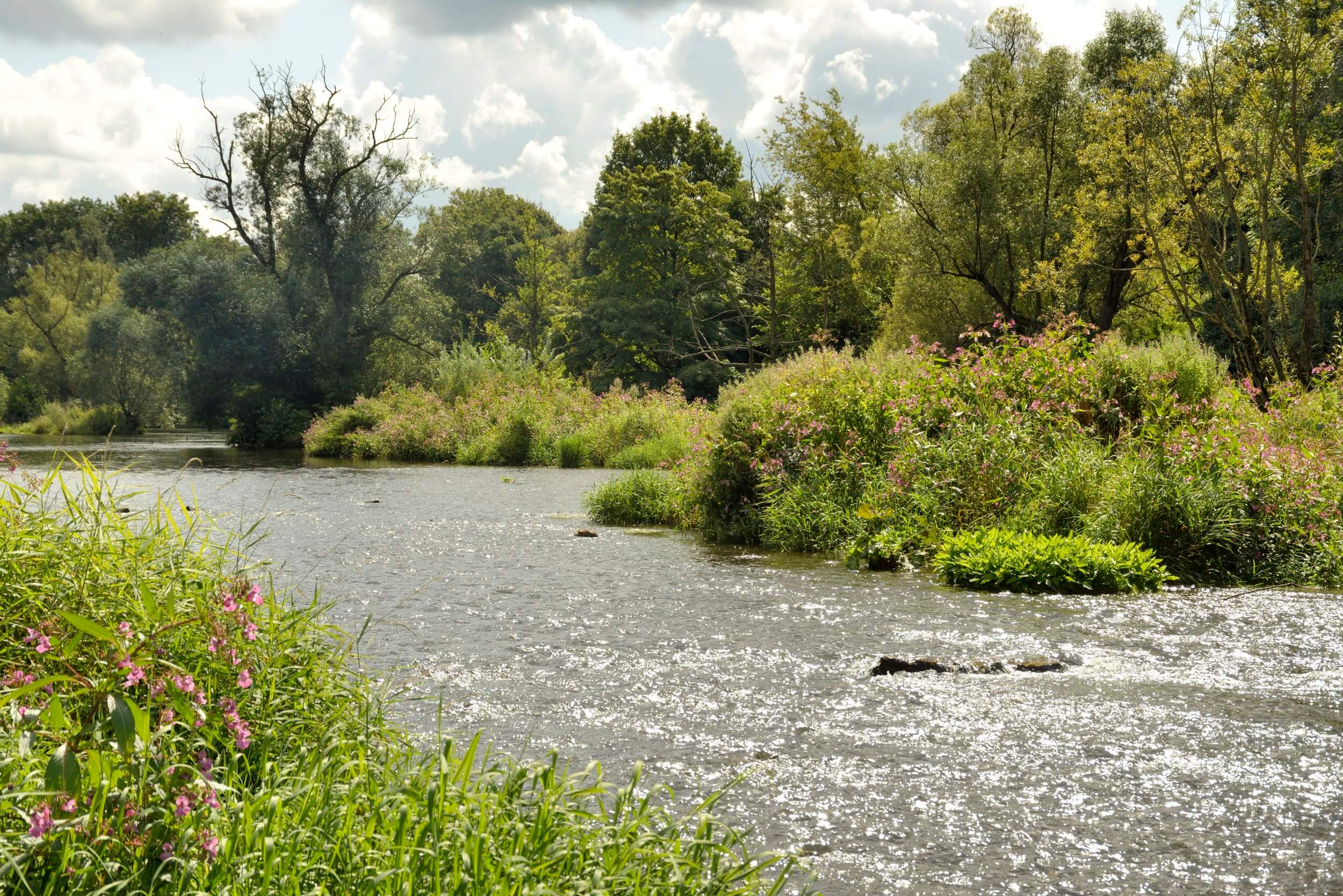 Bildergalerie Ruhr