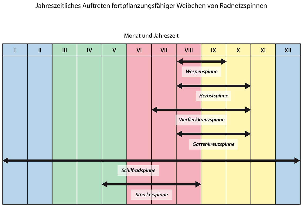 Grafik 1