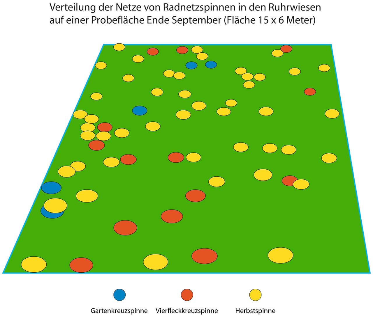 Grafik 6