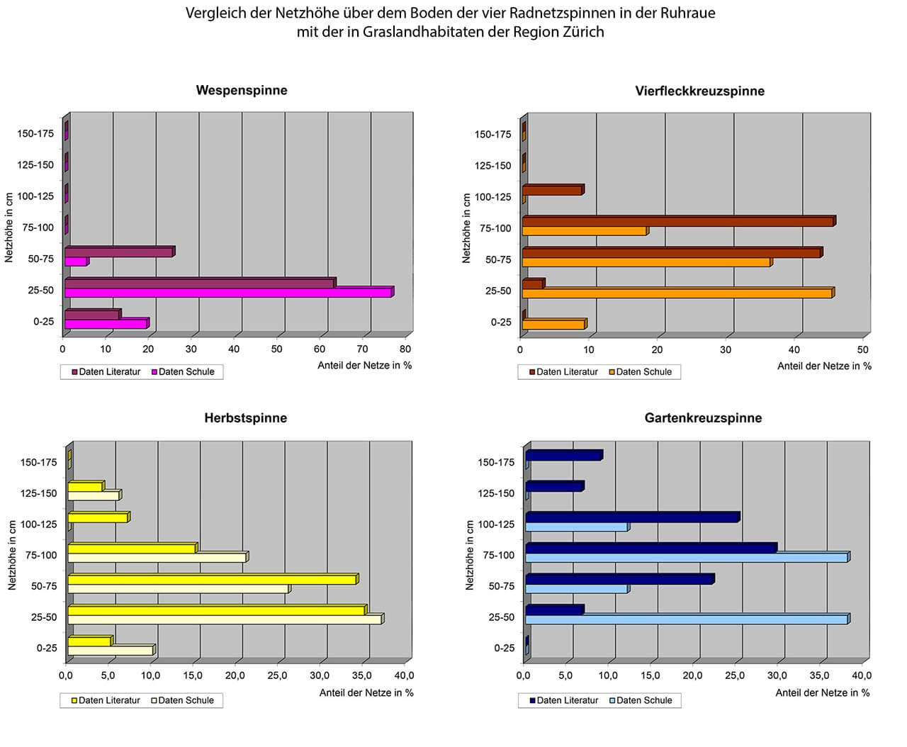 Grafik 11