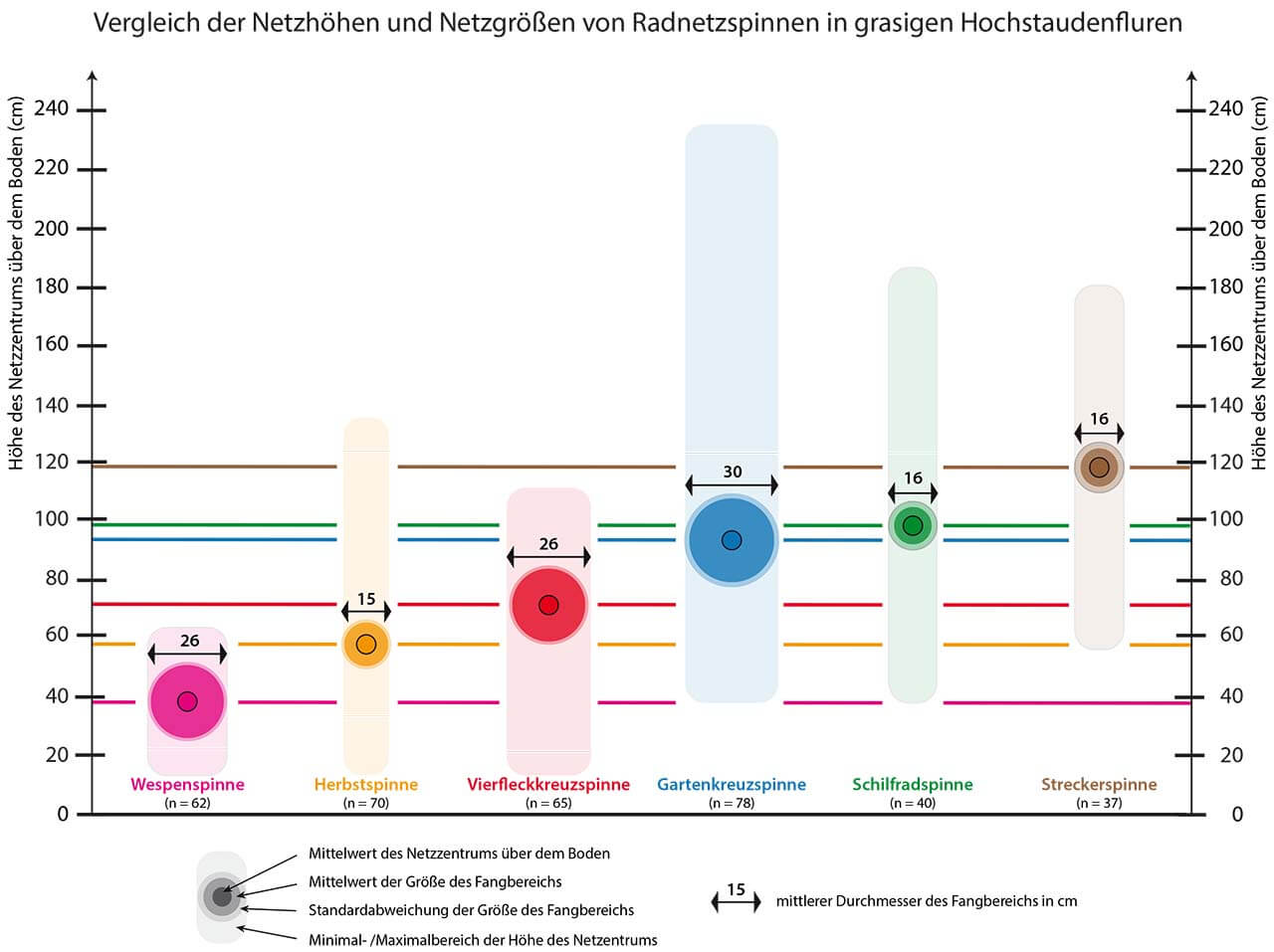 Grafik 12