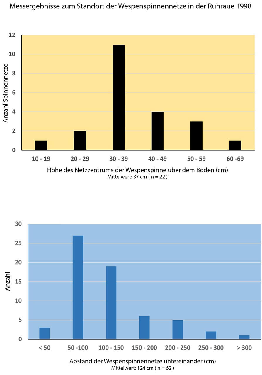 Grafik 12