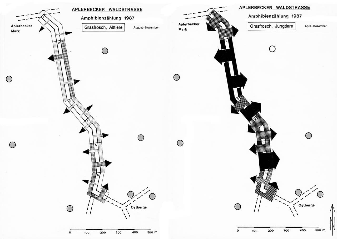 Grafik 13