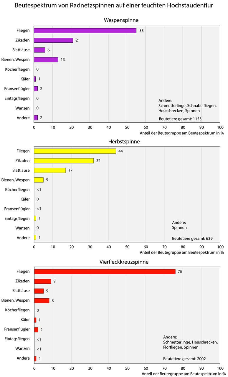 Grafik 13