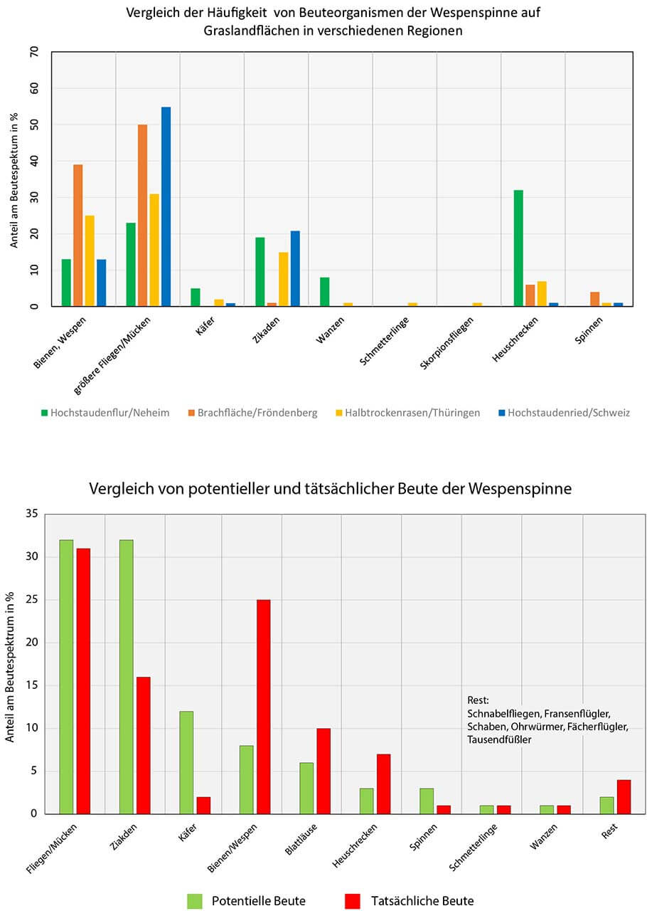 Grafik 15