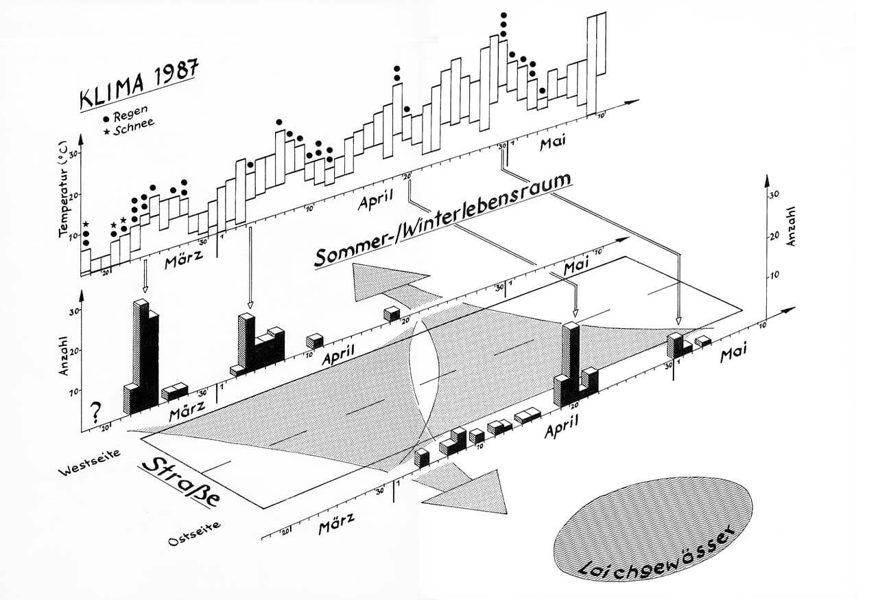 Grafik 16