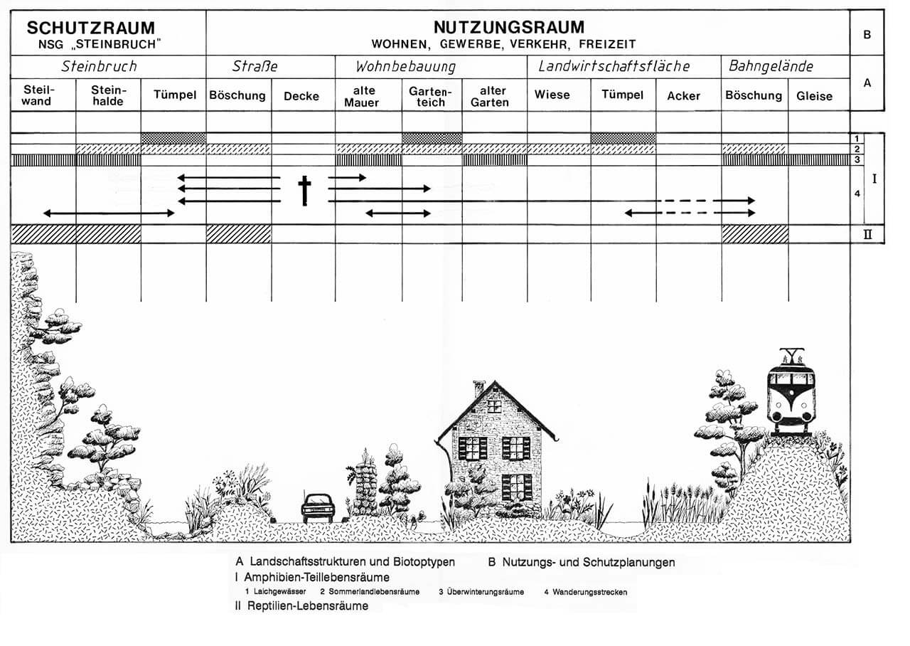Grafik 21