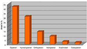 Zuordnung der Beutetiere auf beiden Probeflächen zu den einzelnen Insektenordnungen und Spinnen ( n = 127)