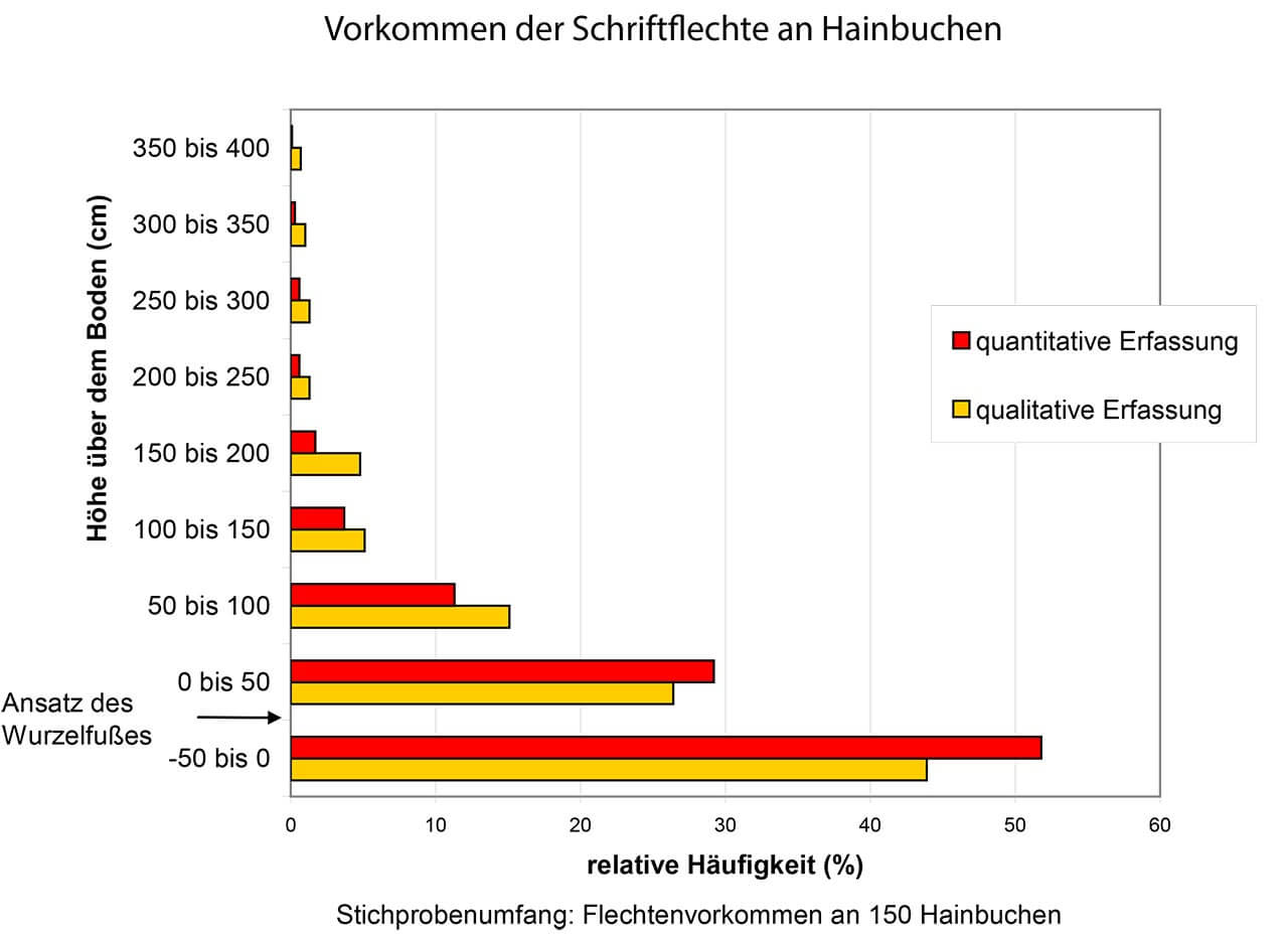 Grafik 12