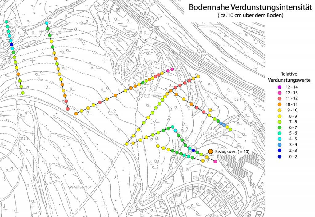 Messergebnis der bodennahen Verdunstung entlang mehrerer Transekts im Rumbecker Holz über ca. 24 Stunden.