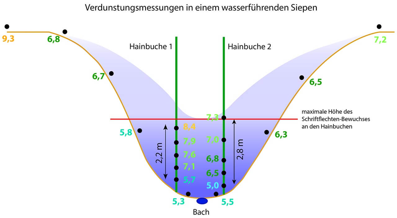 Grafik 19