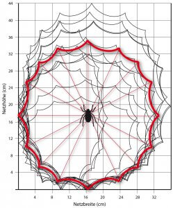 Messergebnisse zur Netzgröße der Wespenspinne in der Ruhraue; rot: durchschnittliche Netzbreite x Netzhöhe = 33 x 35 cm, Variationsspannen 20-35 cm x 22-44 cm (n = 14).