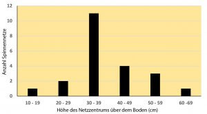 Höhe des Netzzentrums über dem Boden; Mittelwert 37 cm, Variationspanne 16 cm - 64 cm (n = 22).