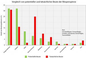 Vergleich der Häufigkeit von potentiellen Beute-Arthropoden (grün) mit deren Häufigkeit als Beute im Netz der Wespenspinne (rot)