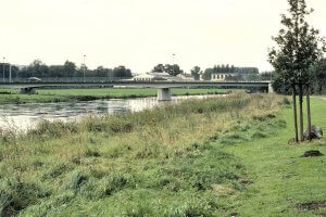 Gras- und Hochstaudenflur an der Ruhr in Fröndenberg,.