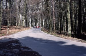 Die ausgebaute Forststraße durch das Rumbecker Holz durchschneidet den Landlebensraum der Amphibien und ist deshalb eine große Gefahr für wandernde Amphibien.