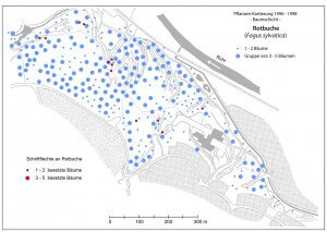Verbreitung der Rotbuche und Schriftflechte an Rotbuche im Rumbecker Holz