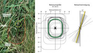 Untersuchungsergebnisse zum Netzraum der Wespenspinne in der Ruhraue: links: Netzraum am Rand des Weges; Mitte: Messdaten zur Netzraumgröße in Aufsicht, grün Mittelwert von 30x38 cm, Variationsspannen (n = 20); rechts: Neigungswinkel der Netzachse, gelb Mittelwert von 15°, Variationsspanne 4° - 38° (n = 21).