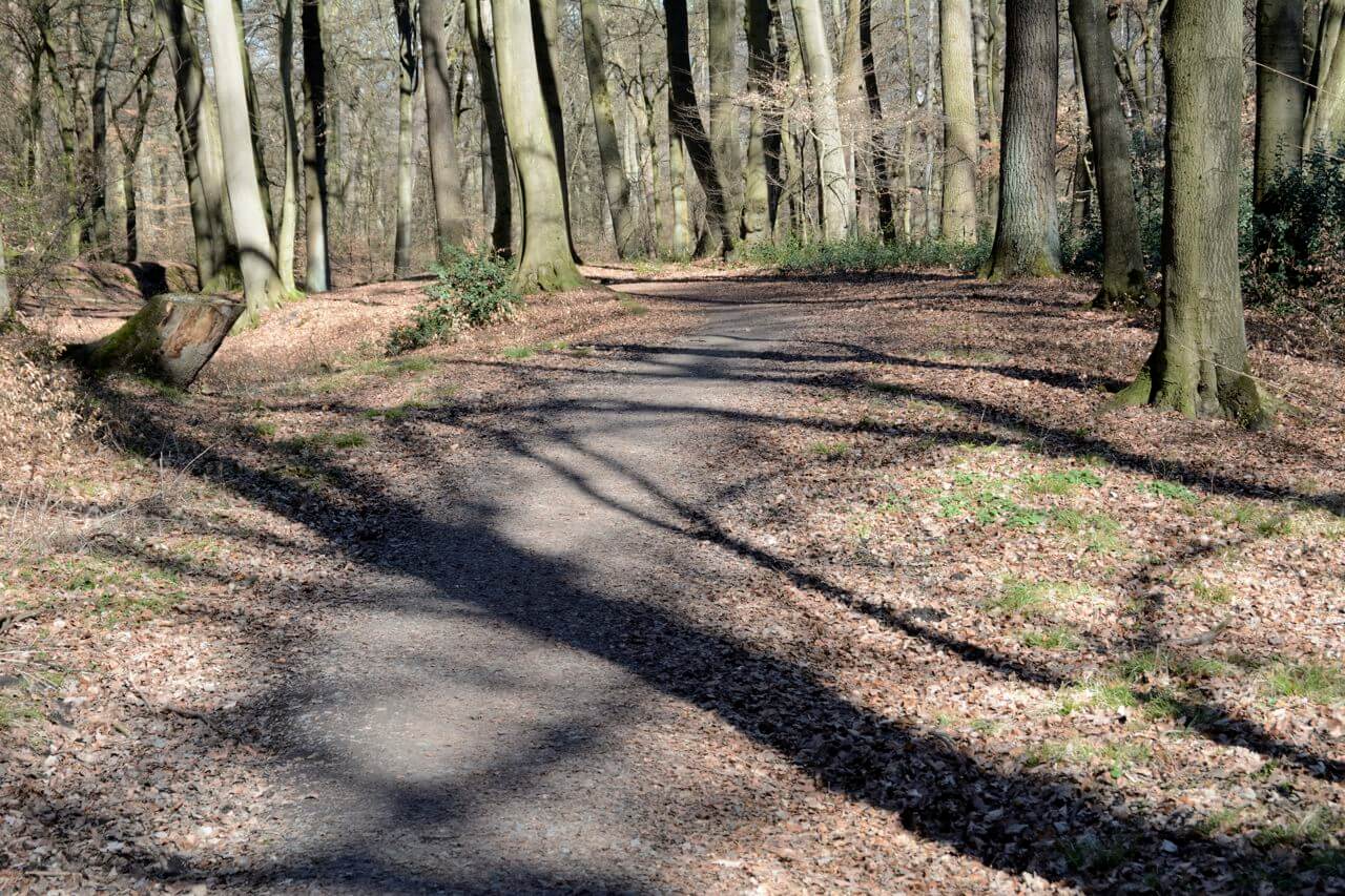 Wege und Pfade