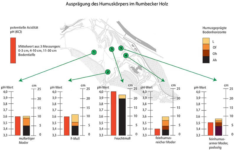 Ein fühlbarer Unterschied: Die Relief- und Strukturfolierung