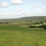 Im Hintergrund sieht man den Lüerwald mit dem Rumbecker Holz.