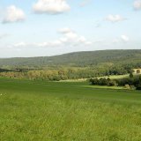 Im Hintergrund sieht man den Lüerwald mit dem Rumbecker Holz.
