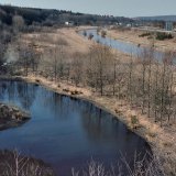 Zum Ausgleich des Autobahnbaus neben der Ruhr wurden in der Ruhraue Teiche angelegt.