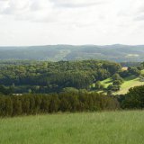 Die Sternhelle im Mittelgrund ist ein ca. 5 ha großer Laubmischwaldbestand. Er liegt am Rand des Kulmplattenkalk-Vorkommens im Untergrund und weist deshalb eine basische Bodenreaktion auf.