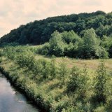 Das Ruhrbett wurde im Bereich von Neheim bereits im 19. Jahrhundert teilweise begradigt. Durch Anlegen von Deichen und Bebauungsausdehnung ging fast die gesamte, ursprünglich bis 800m breite Ruhraue verloren.