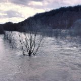 Beim Frühjahrshochwasser aufgrund der Schneeschmelze werden die Reste der Ruhraue überschwemmt.