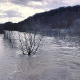 Beim Frühjahrshochwasser aufgrund der Schneeschmelze werden die Reste der Ruhraue überschwemmt.