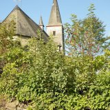 Auf der Krone der Mauer wachsen verschiedene Sträucher, u.a. die Apfelrose (Rosa villosa), eine alte Kulturpflanze.