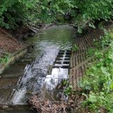 Der Mittel- und Unterlauf des Baumbachs ist im Bereich der Gewerbe- Wohn- und Schulflächen umgeleitet, dabei massiv begradigt und ausgebaut.