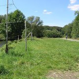 Vor der Renaturierung war vor allem der nordöstliche Uferbereich Richtung Neheim eine artenarme, gepflegte Wiese (Foto: J. Schelte).