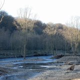 Es wurde eine Kette von kleinen Inseln mit altem Pappeln- und Erlenbestand angelegt.