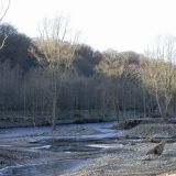 Es wurde eine Kette von kleinen Inseln mit altem Pappeln- und Erlenbestand angelegt.