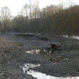 Durch die Anlage der Inseln wurden Nebengerinne und Stillwasserzonen geschaffen.