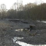 Durch die Anlage der Inseln wurden Nebengerinne und Stillwasserzonen geschaffen.