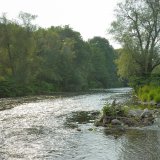 Bereits im 2. Jahr nach der Renaturierung sind die Ufer- und Inselbereiche dicht bewachsen.