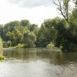 7 Jahre nach den Renaturierungsmaßnahmen zeigt sich die Ruhr als naturnaher Fluss.