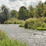 Die künstlich erstellen Inseln sind vollkommen bewachsen und werden durch die Strömung vor allem bei Hochwasser neu geformt.