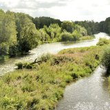 Die Ruhr ist mittlerweile ein naturnaher Fluss mit einer Hauptrinne sowie Seitarmen und Stillwasserzonen.