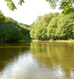 Als Laichgewässer bevorzugt die Erdkröte größere sonnige bis halbbeschattete Stillgewässer wie Weiher und
Teiche, mit teilweise submerser Ufervegetation zur Befestigung des Laichs. Im Gegensatz zu den anderen
heimischen Amphibienarten werden auch Gewässer mit Fischbesatz erfolgreich besiedelt. Sowohl Larven im Wasser als auch Kröten an Land besitzen ein chemisches Abwehrsystem in Form eines giftigen
Hautsekrets. Dieses Hautsekret wird bei den heranwachsenden Kröten besonders in den Ohrdrüsen (Parotiden)
gebildet.