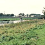 Der schmale grasreiche Hochstauden-Streifen an der Ruhr in Fröndenberg wird von der Wespenspinne besiedelt.